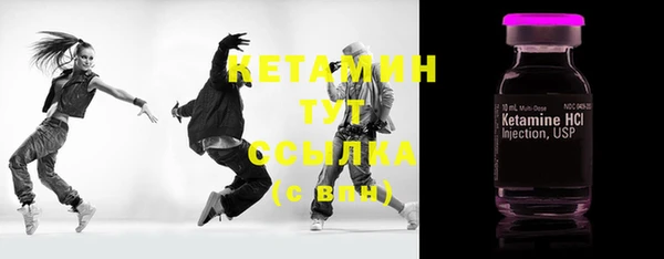 шишки Гусь-Хрустальный